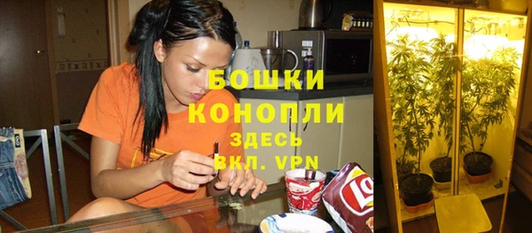 Альфа ПВП Касимов