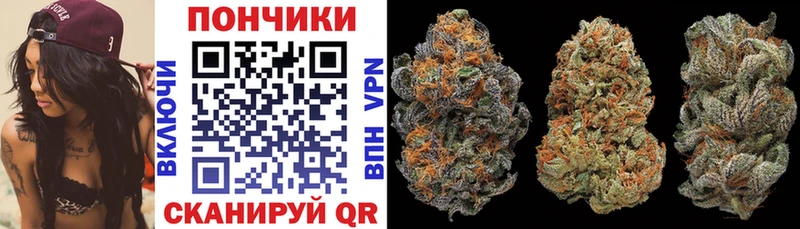 Купить  Махачкала  Канабис планчик 